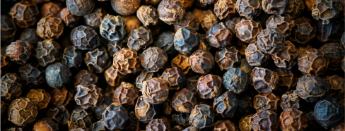 Minerales Esenciales - zinc, magnesio, calcio